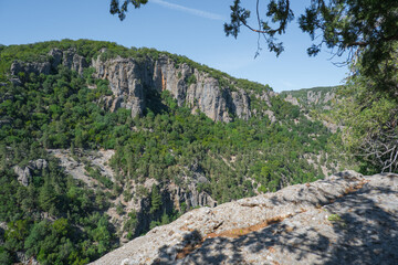 Breathtaking panoramic view of a lush canyon landscape under a clear blue sky.