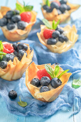 Tasty and hot phyllo cups as cuisine of Ottoman Turks.