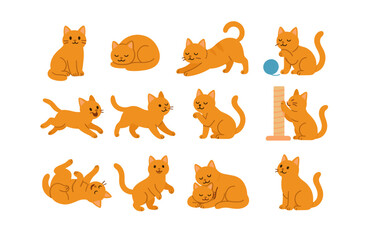 Naklejka premium Various adorable cats in playful poses with toys and scratching post