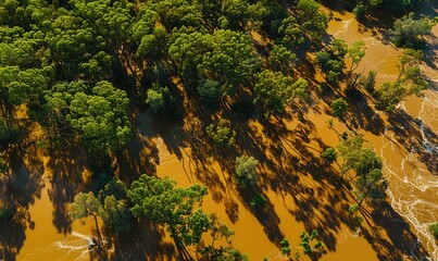 Aerial view of flooded forest with river water, climate change and nature