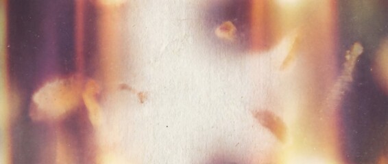 柔らかな光がにじむ紙面の幻想的な彩り