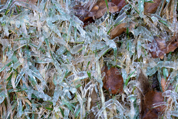 Top-down view of frozen grass and brown leaves coated in clear ice glaze.