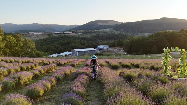 
A woman wearing a straw hat walks through blooming lavender fields in soft golden light, creating a peaceful and romantic countryside atmosphere.