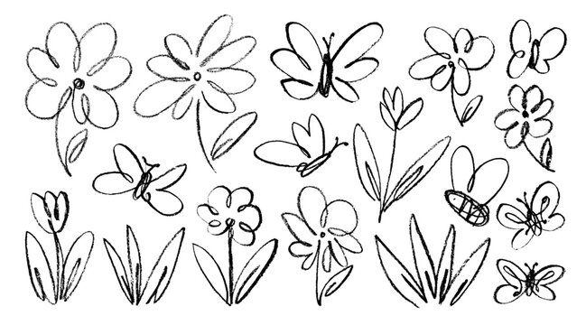 Crayon drawn flower and butterfly doodle collection. Hand drawn vector floral outline elements with pencil or chalk texture. Cute nature summer or spring black clipart. Simple daisy and butterfly.