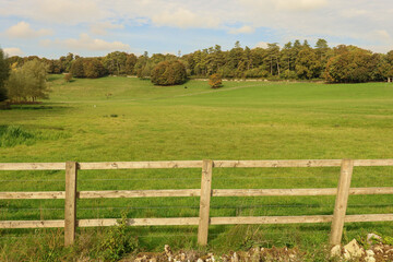 Rustic wooden fence marking the boundary of a wide, vibrant green pasture leading to a distant forest and blue sky © Anna Studio