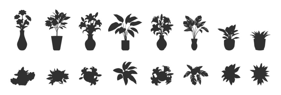 CAD Silhouettes of plant pots in shadows and outlines for decoration, PNG background.
