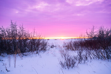 Winter sunset on the prairie
