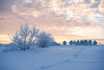 Winter sunset on the prairie