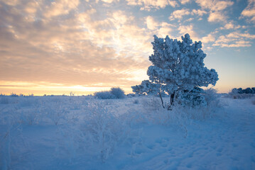 Winter sunset on the prairie