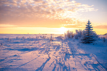 Winter sunset on the prairie