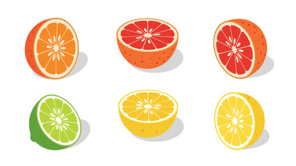 Obraz premium Colorful citrus collection in isometric style featuring oranges, grapefruits, limes, and lemons