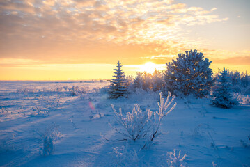 Winter sunset on the prairie