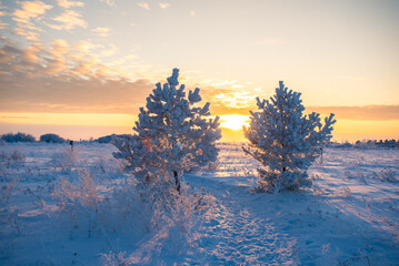 Winter sunset on the prairie