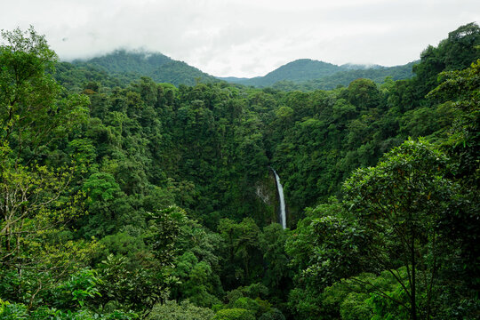 Horizontal view of a tall waterfall plunging into a dense tropical rainforest under a misty, cloudy sky in Costa Rica.