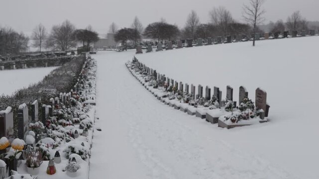 Snowy cemetery.  Gentle snowfall.  Row of gravestones.  Winter landscape.  Peaceful scene.  Quiet memorial.  Frozen flowers.  Serene atmosphere.  Cold weather.  Funeral imagery.  Somber mood