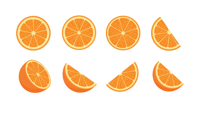 Vibrant citrus set: fresh orange slices in flat style