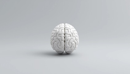 3d render of white human brain with 2 sides include 1 shattered side, top view minimalist concept on white background