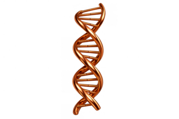 Copper dna double helix structure representing genetic code, biotechnology, scientific research, and medical innovation