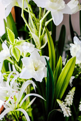 White flowers arranged in a decorative setting with green leaves and natural elements
