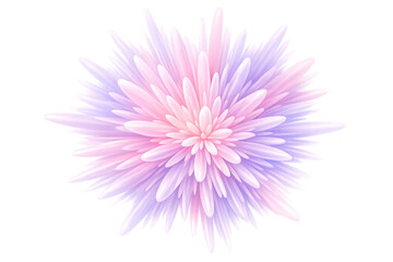 Fototapeta premium Colorful blooming abstract flower creating a soft burst of pastel pink and purple colors on transparent background