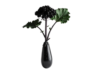 Elegant vase with dark green foliage against a transparent background decorative plant