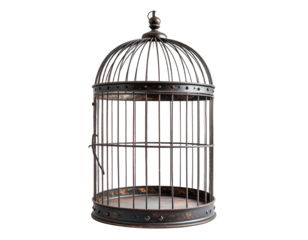 Empty birdcage illustration with transparent background isolated on white