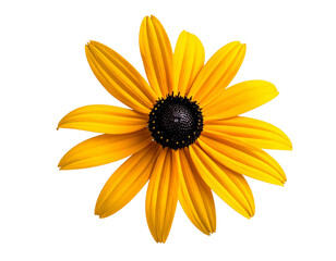 Yellow flower with black center isolated on transparent background