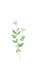 A mobile phone wallpaper with an isolated pastel pink flower on the left side of the screen against a solid blue background The flower is delicate and