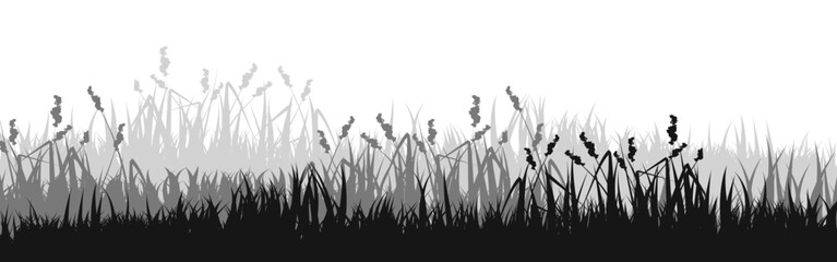 Fototapeta premium Meadow silhouette with grass, plants on plain. Panoramic summer lawn landscape with herbs, various weeds. Herbal border, frame element. Black horizontal banners. Vector illustration