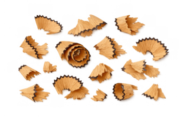 Pencil shavings collection showing wood spiral chips and graphite dust with a transparent background