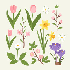 Obraz premium Spring Flowers Collection: Tulips, Daffodils, Crocus, Daisies, Cherry Blossoms