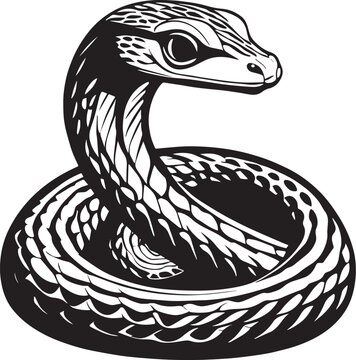 Coiled Snake Illustration