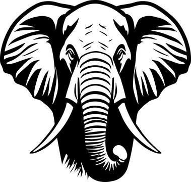 Front Facing Elephant Head and Trunk Illustration