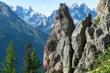 wildlife in the high alps against a mountain backdrop