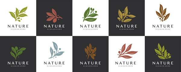 Collection of olive branch logos, symbols of purity, natural products, health and beauty, vector design templates.