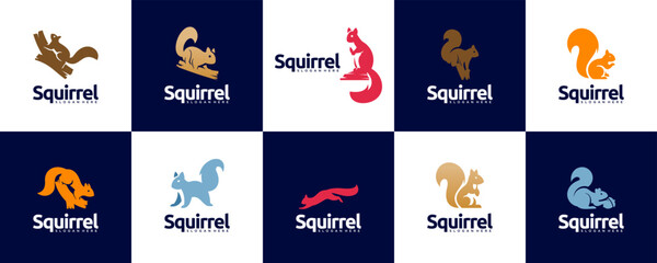 collection of rodent logos, clever squirrels, colorful style, symbol of agility, vector design template.