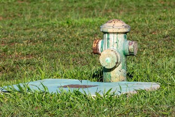Weathered Green Fire Hydrant in a Grassy Field