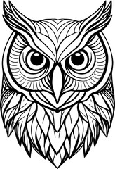 Owl Face Illustration