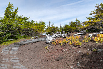 The road leading to the Okuniwa Observatory just before the fifth station of Mount Fuji.