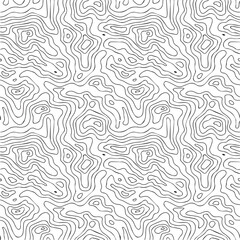 Obraz premium Abstract seamless line pattern with flowing waves and geometric decorative texture background