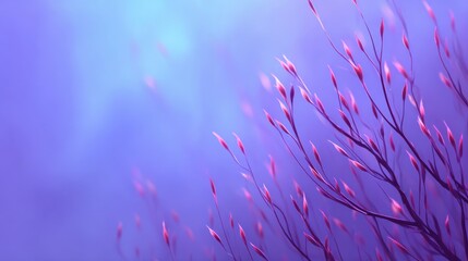 Delicate pink plant tendrils against a soft purple gradient background.