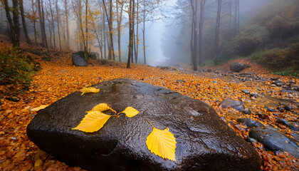 Vibrant Yellow Leaves On Wet Stone In Forest During Misty Autumn