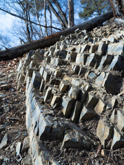 Columnar Rock Formation on a Forest Slope