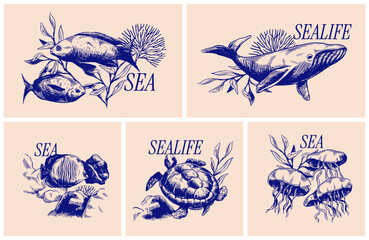 Sea Life poster set. Sketch style banners with whale, turtle, jellyfish and fish among seaweed and corals in blue color. Hand drawn vector illustration collection isolated on background
