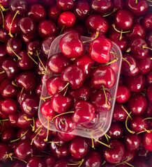 Fresh ripe red cherries filling the frame with a transparent plastic container placed on top creating a glossy seasonal fruit background. 