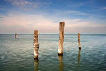 Wooden poles, Venetian lagoon