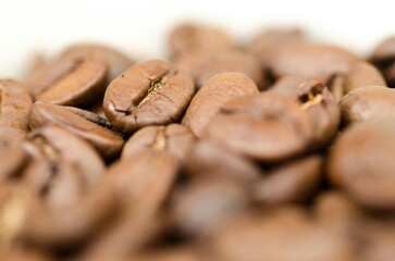 coffee beans close up