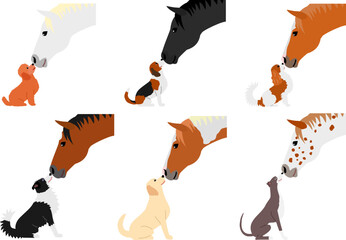 set of dog&horse kissing each other