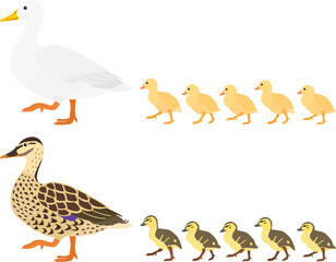 set of duck mom&babies walking in a row