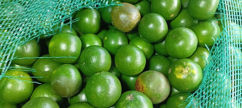 Large group of green oranges closeup view